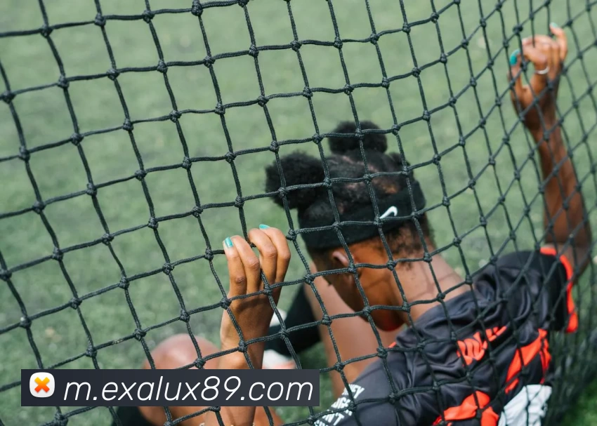 电竞数据